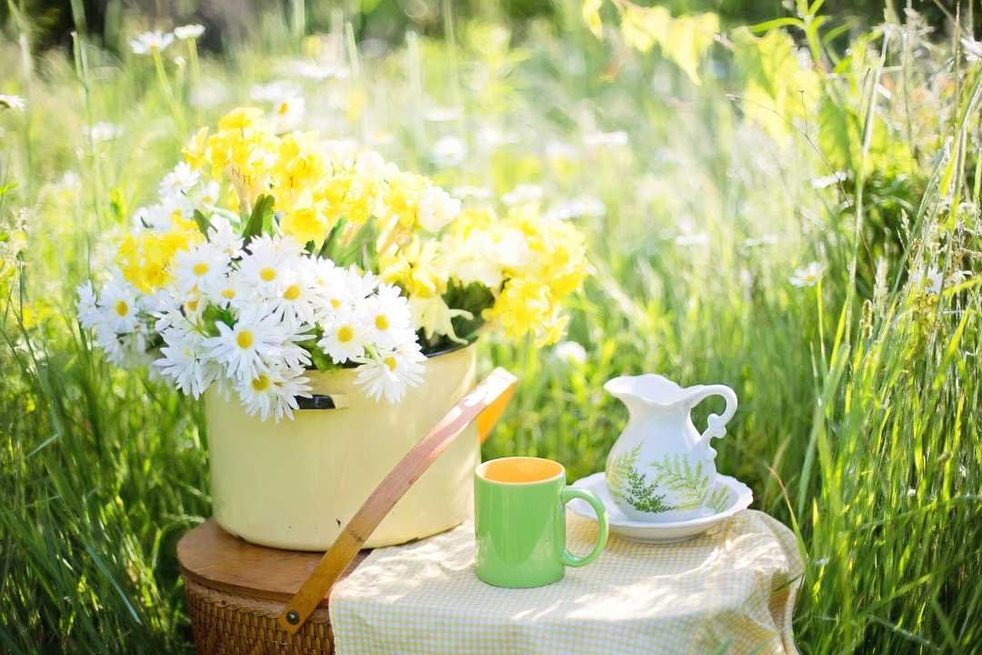更年期に感じるお肌の乾燥とは？毎日のスキンケアでできること-お花摘みの風景｜LAVIN